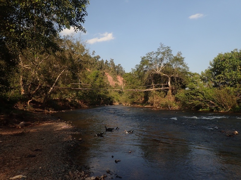 カム族の村に架かる竹橋