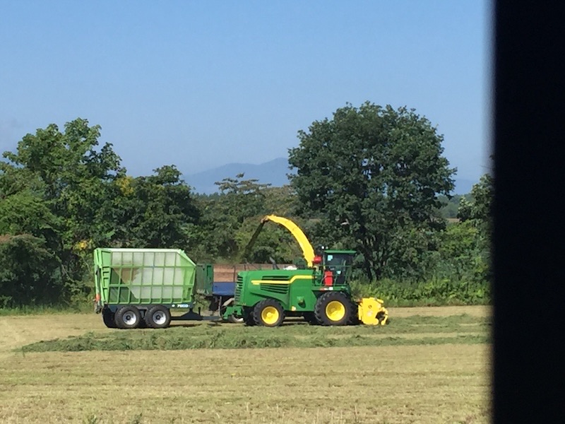 ひがし北海道の自然保護を考える 士幌高原道路 エゾナキウサギ