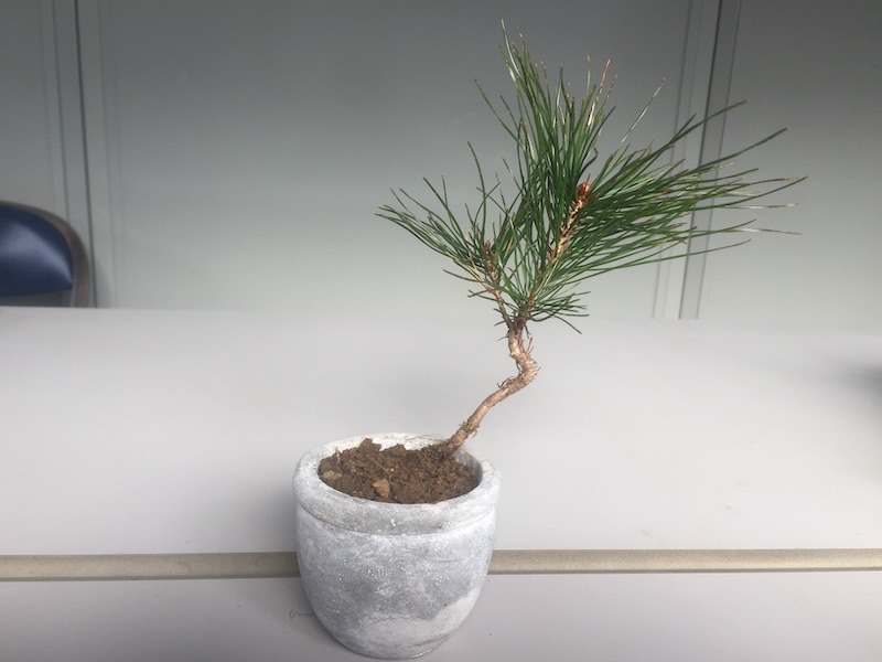 クラウドファンディングをはじめます