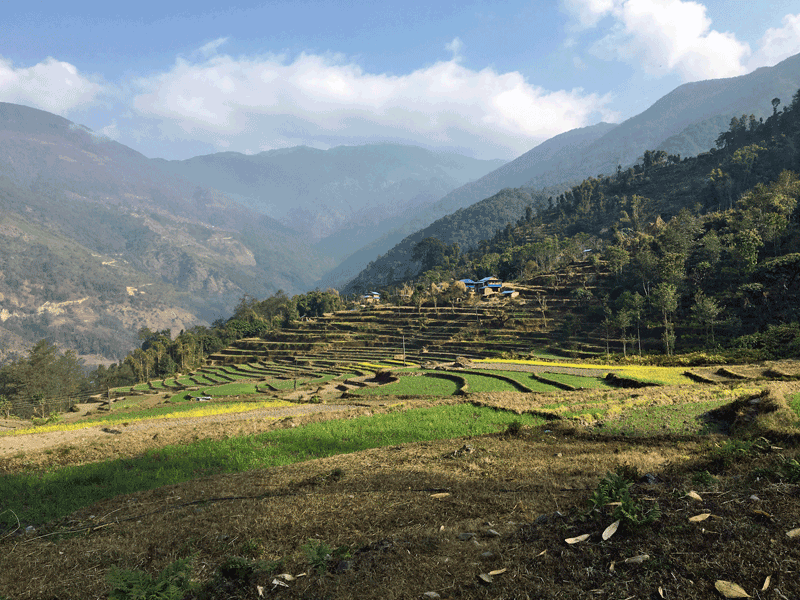 棚田連なるコータン村