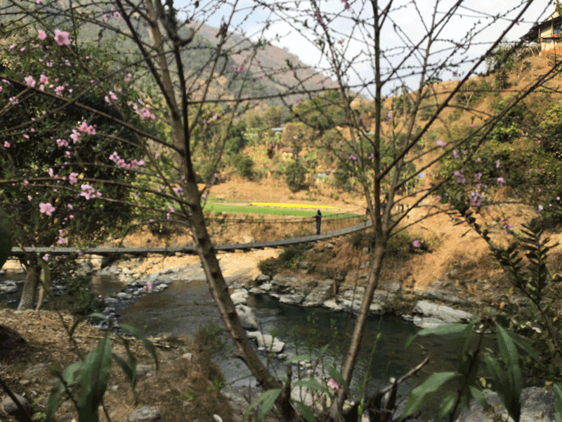 コータンの吊り橋