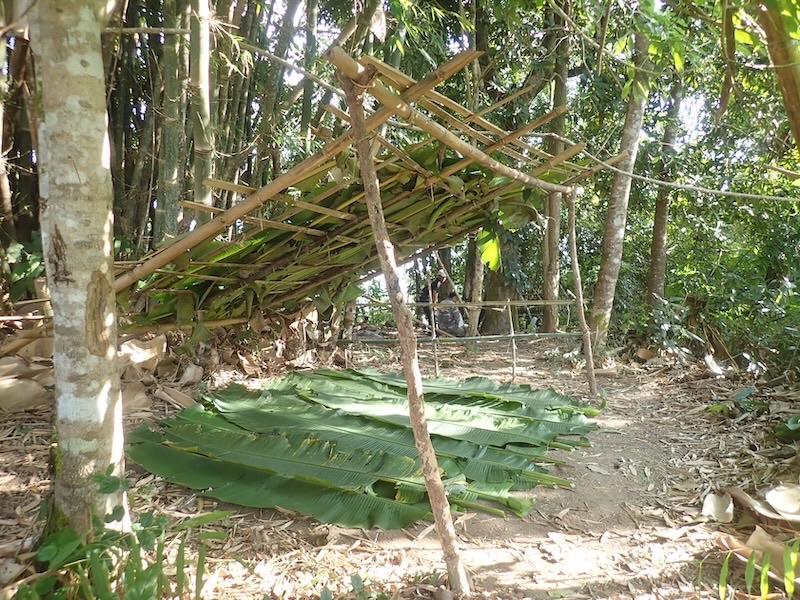 バナナリーフキャンプ