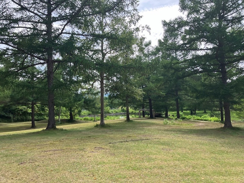 渡島駒ヶ岳キャンプ予定地