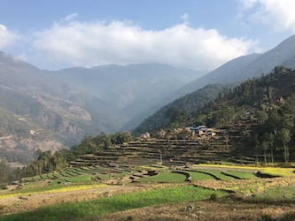 情報通信機器の贈呈式と共同代表による記念授業 オンライン参加<br>5月5日(火)