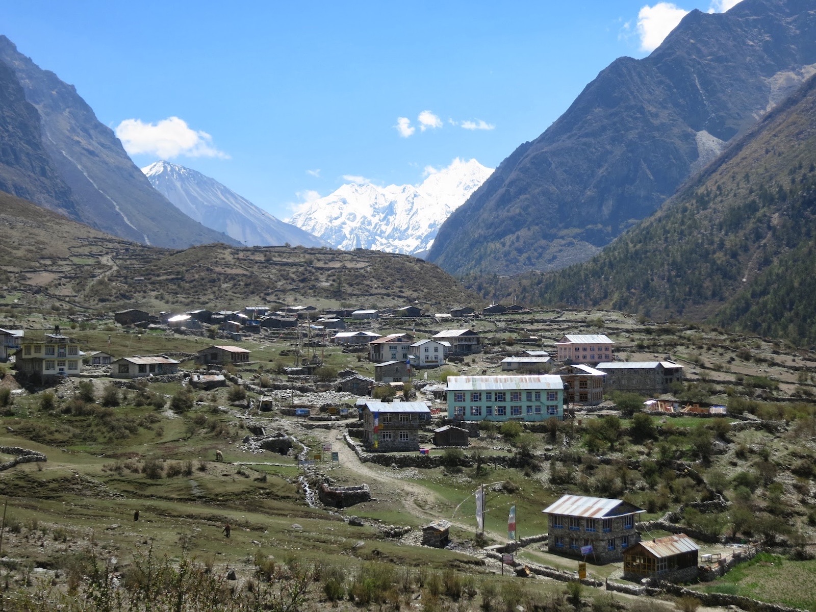 世界で最も美しい谷のひとつランタン谷