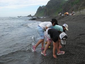 自然体験キャンプ 北海道礼文島 西海岸元地メノウ浜