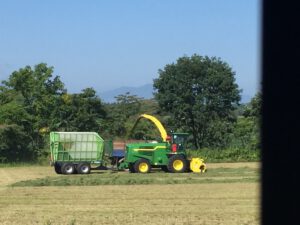 二番草の刈取り とかち清水町美蔓